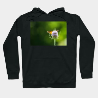 Winged Thistle Hoodie